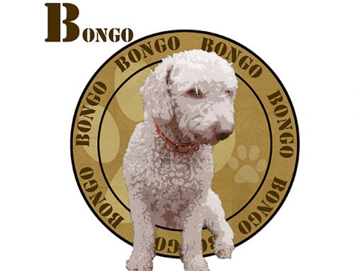 Retrato mascota bongo